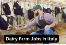 Dairy Farm Jobs in Italy